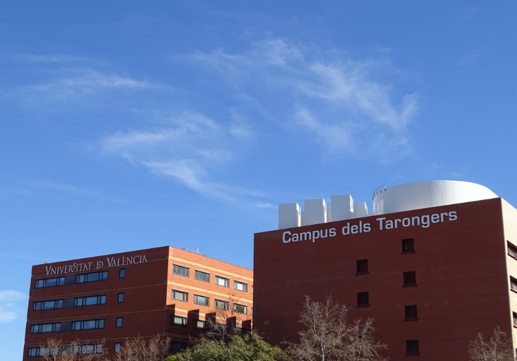 Image de la noticia